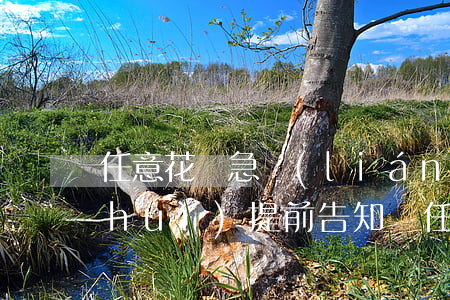 任意花緊急聯(lián)系人那么多會(huì)提前告知嗎，任意花：緊急聯(lián)系人眾多的情況下，平臺(tái)是否會(huì)提前通知？